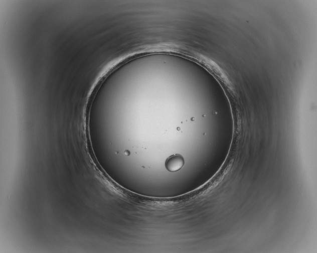 X0000116661184200912211501