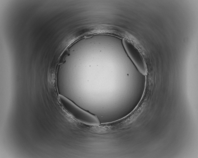 X0000116661185200912211501