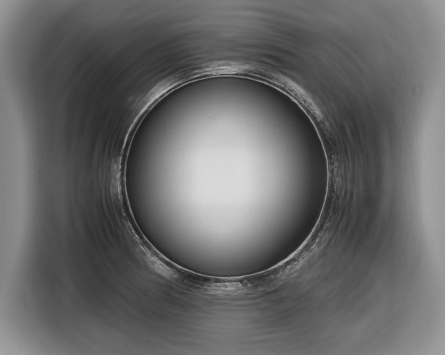 X0000116661186200912211501