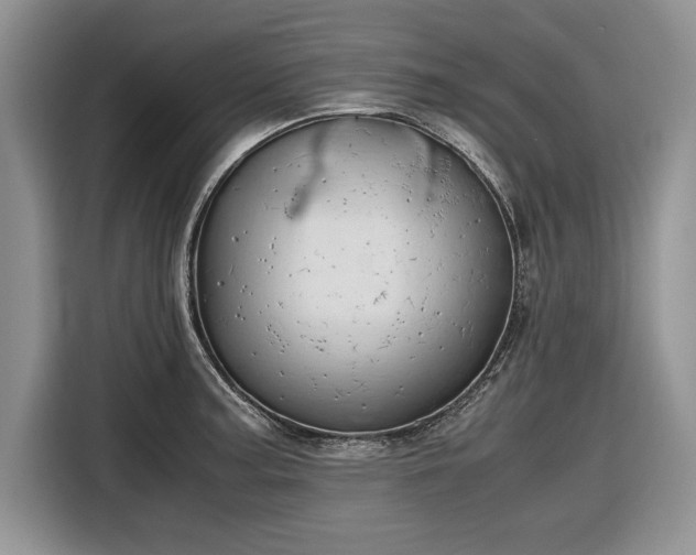 X0000116661187200912211501