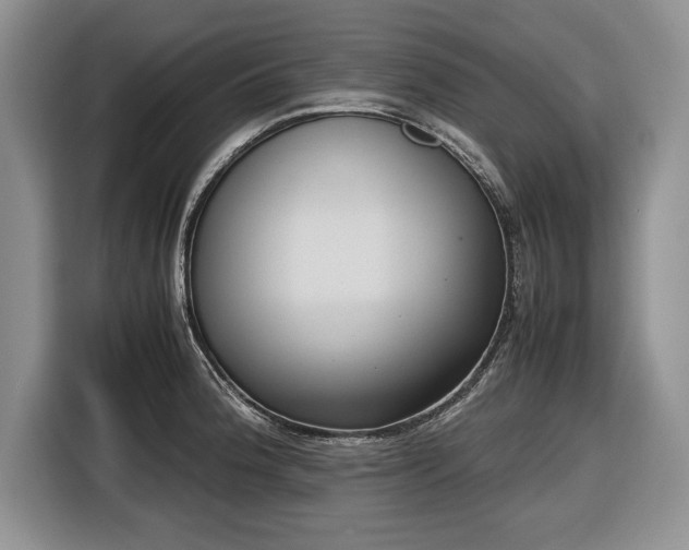 X0000116661188200912211501