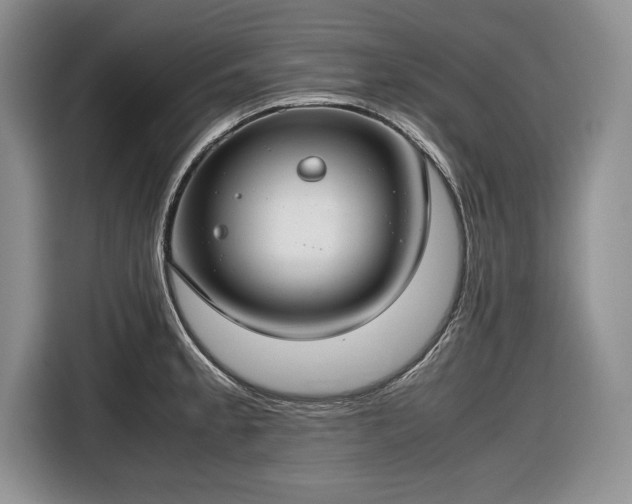 X0000116661189200912211501