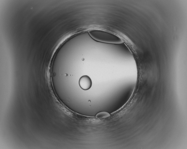 X0000116661190200912211501