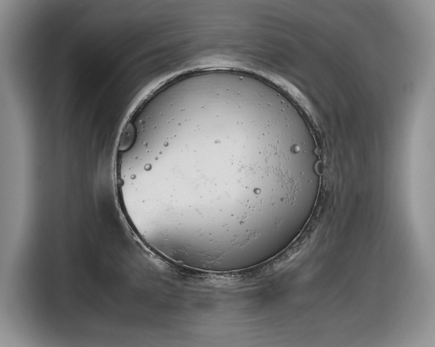 X0000116661191200912211501