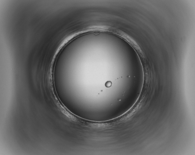 X0000116661192200912211501