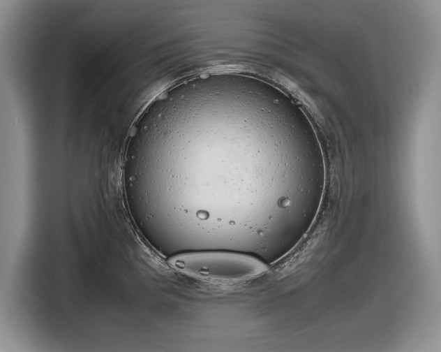 X0000116661193200912211501