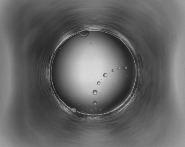 X0000116661194200912211501