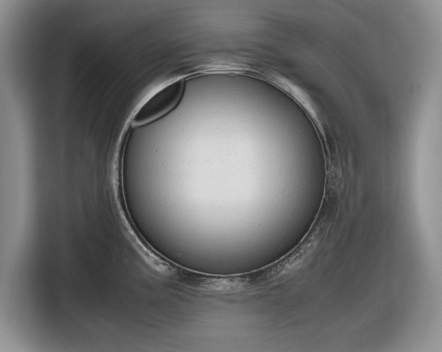 X0000116661195200912211501