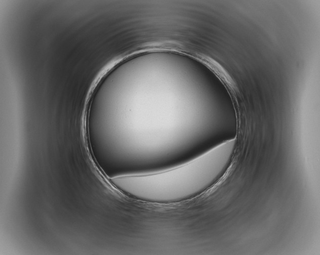 X0000116661196200912211501