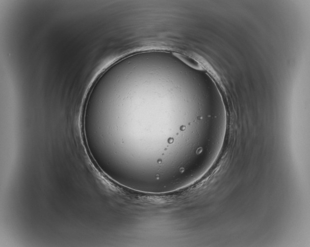 X0000116661197200912211501