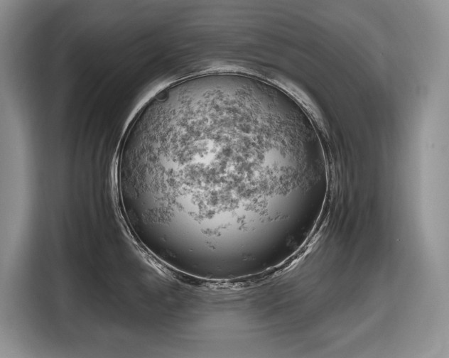 X0000116661198200912211501