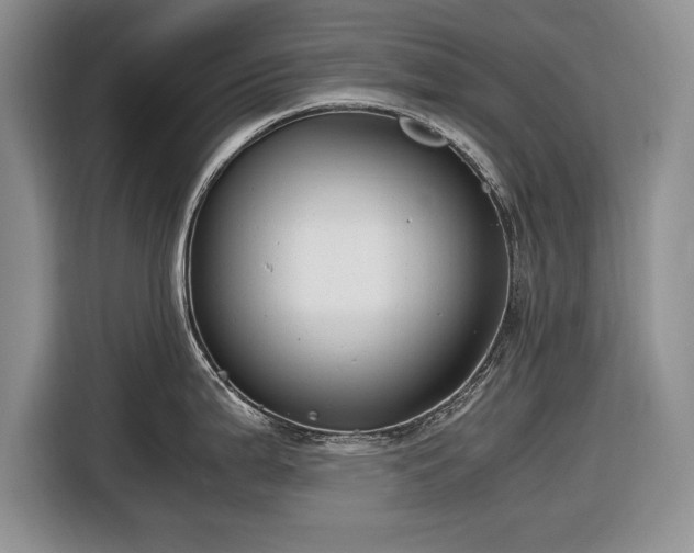 X0000116661199200912211501