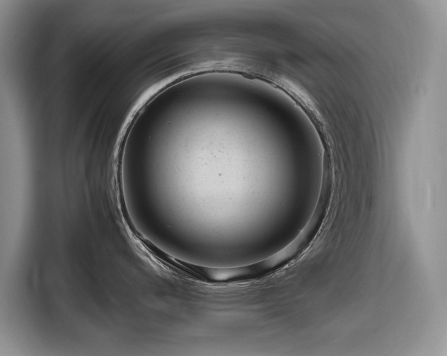 X0000116661200200912211501