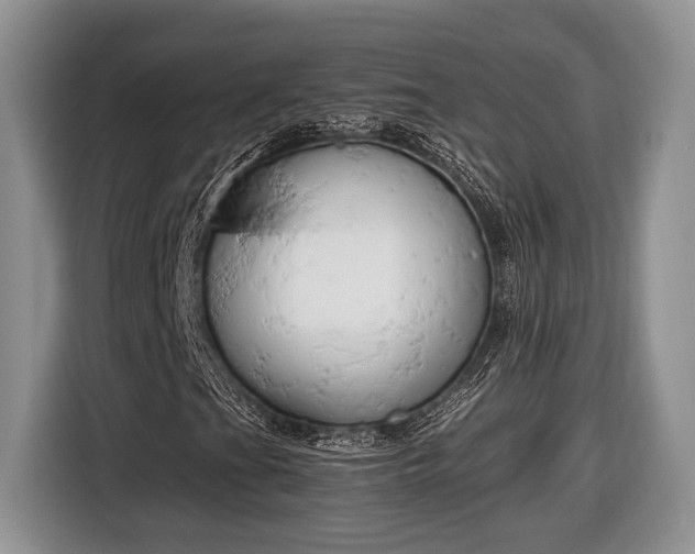 X0000116661201200912211500