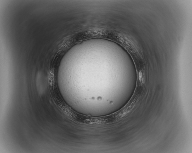 X0000116661203200912211500