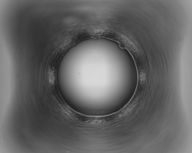 X0000116661204200912211500