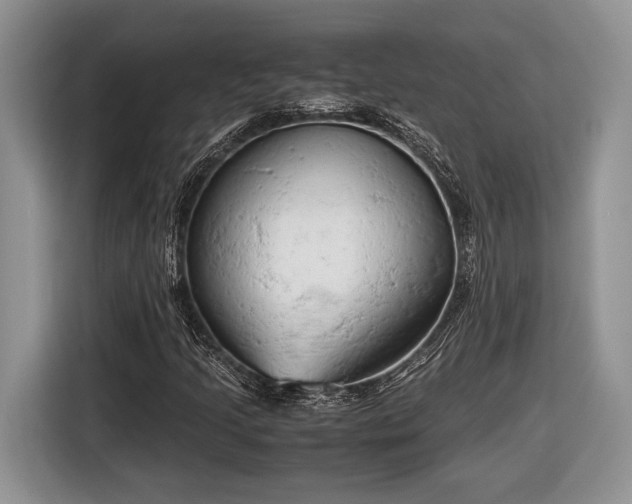 X0000116661205200912211500