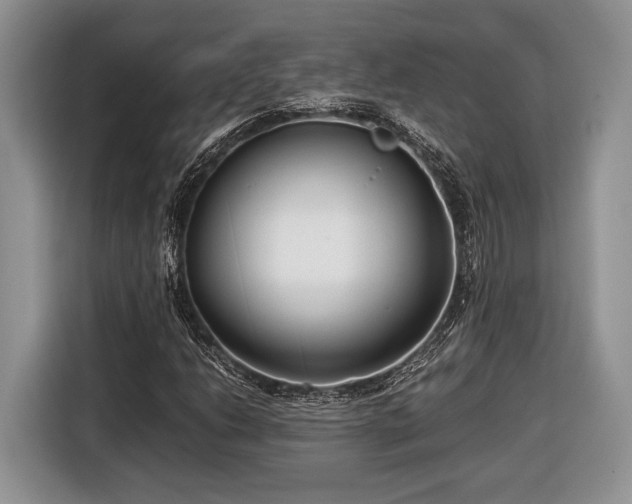 X0000116661206200912211500