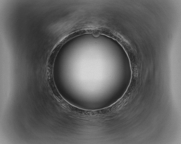 X0000116661208200912211500