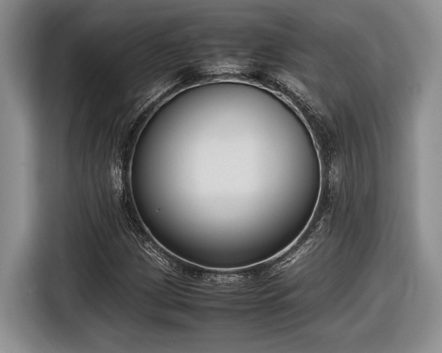 X0000116661209200912211500