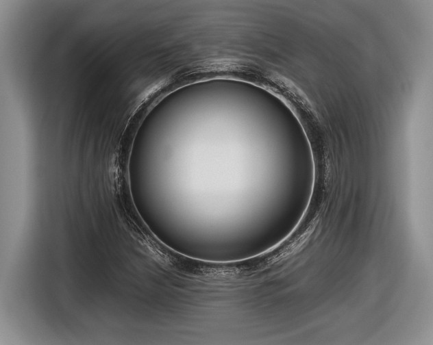 X0000116661210200912211500