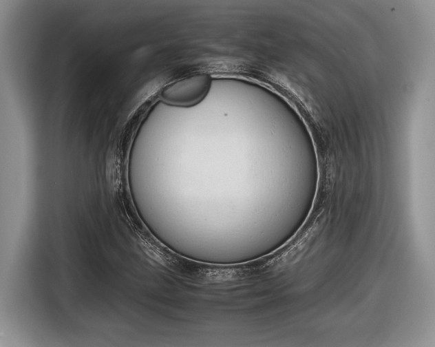 X0000116661211200912211500