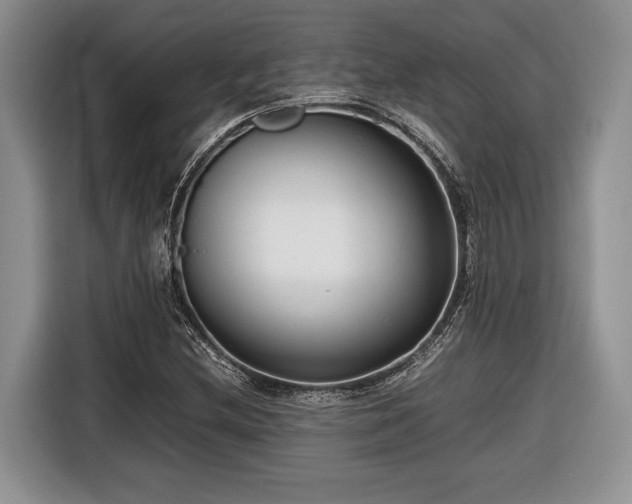 X0000116661212200912211500