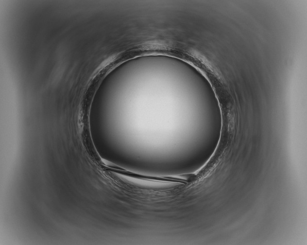 X0000116661213200912211500