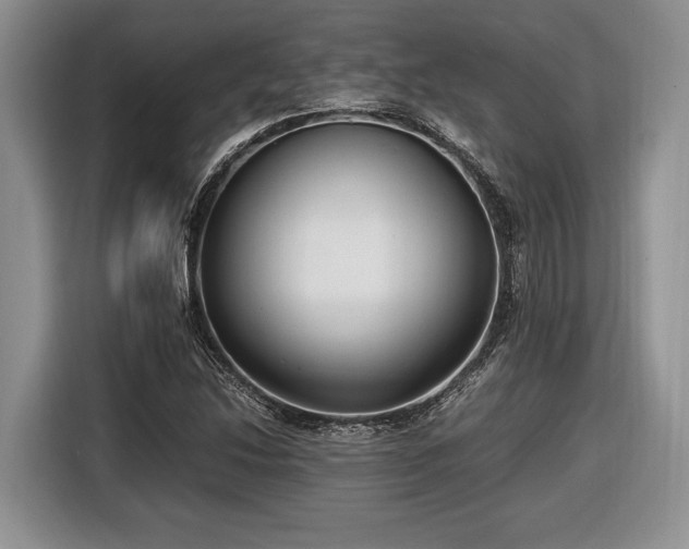 X0000116661214200912211500