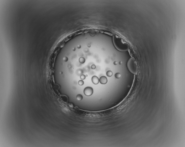 X0000116661215200912211500