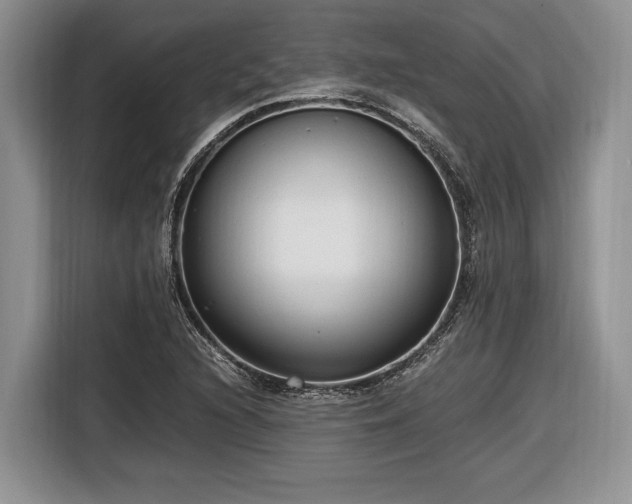 X0000116661216200912211500