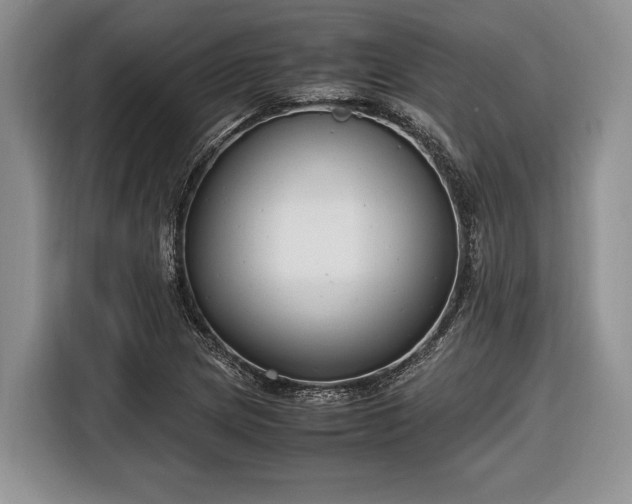 X0000116661217200912211501