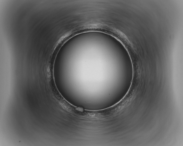 X0000116661218200912211501