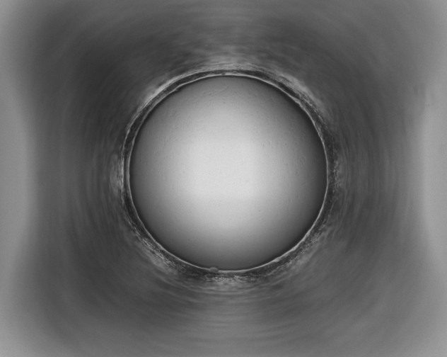 X0000116661220200912211501