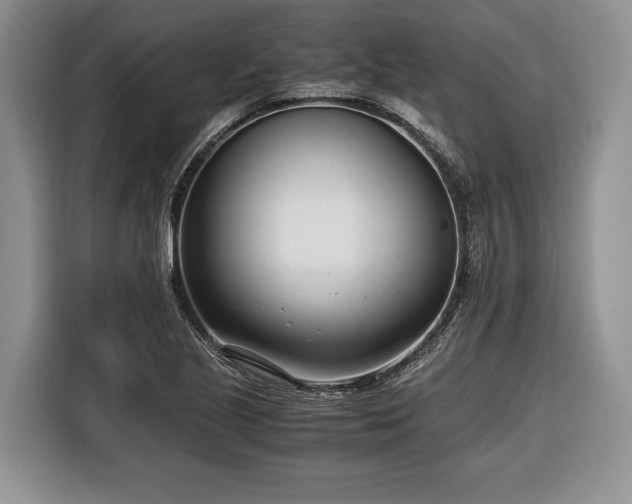 X0000116661221200912211501