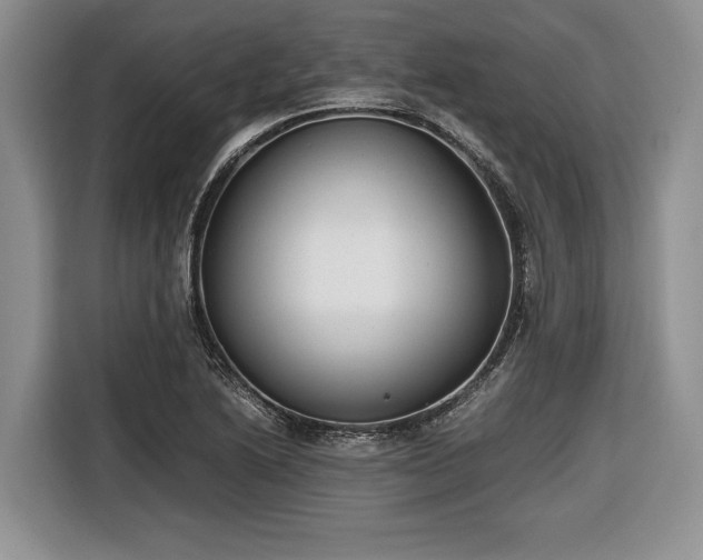 X0000116661222200912211501