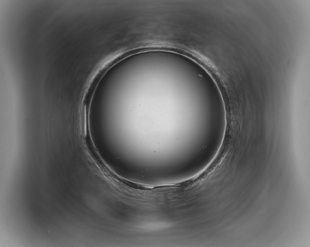 X0000116661223200912211501