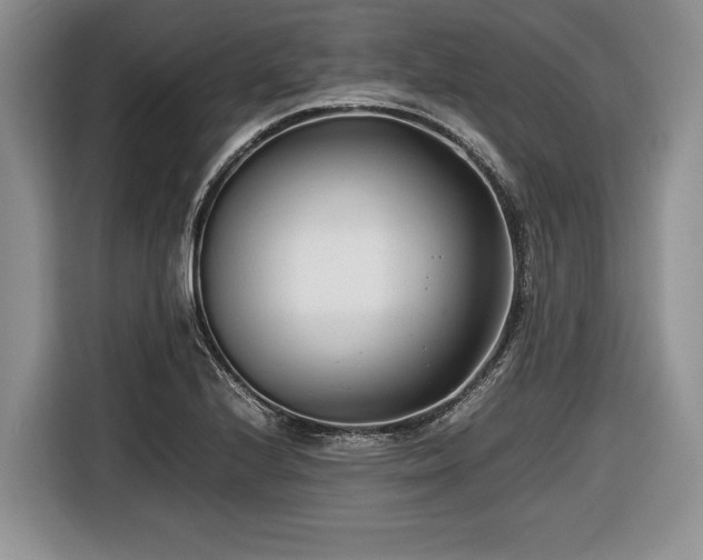 X0000116661224200912211501