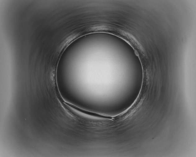 X0000116661225200912211501