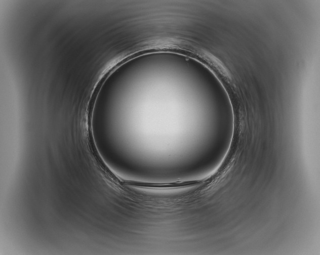 X0000116661226200912211501