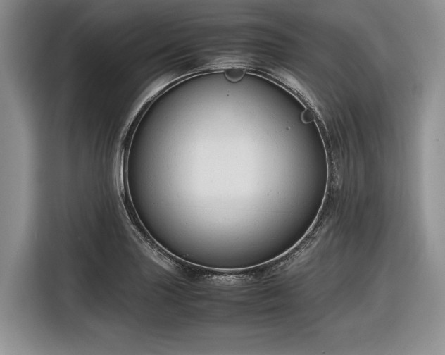 X0000116661227200912211501