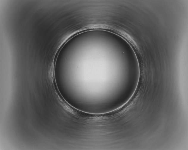 X0000116661228200912211501