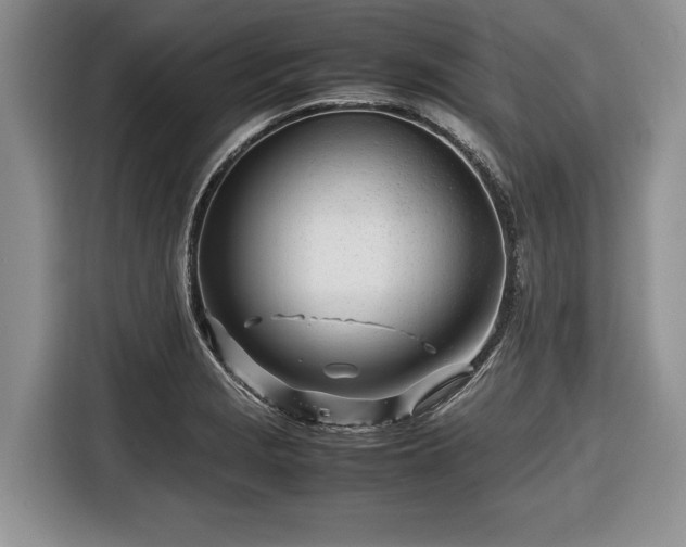 X0000116661229200912211501