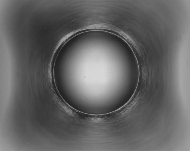 X0000116661230200912211501