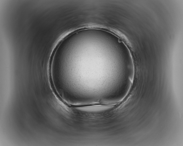 X0000116661231200912211501