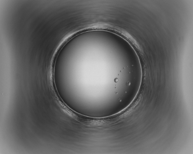 X0000116661232200912211501