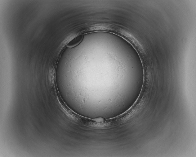 X0000116661233200912211501