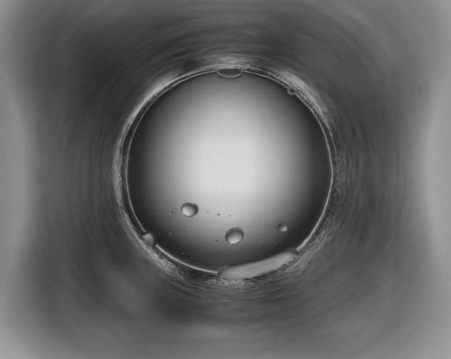 X0000116661235200912211501