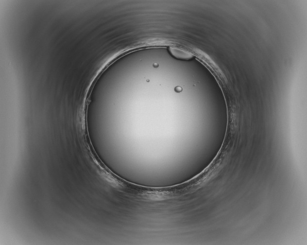 X0000116661236200912211501