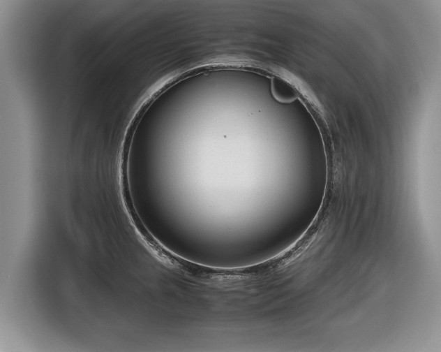 X0000116661237200912211501